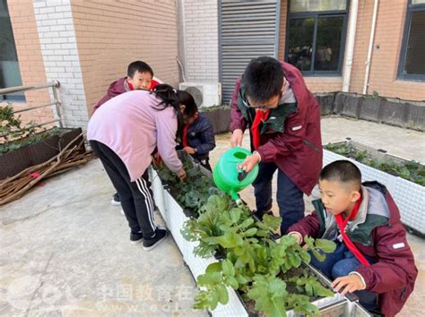 小小种植园，快乐大丰收——殷桥小学幼儿园种植活动报道