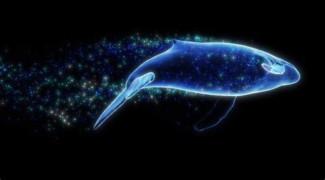 2023新款ins鲸鱼公仔海洋动物毛绒玩具儿童软萌睡觉抱枕 生日礼物-阿里巴巴