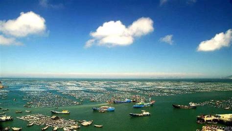 开园5年，舟山海洋科学城入驻近千企业 基本打造成四大基地__财经头条