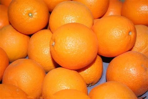 一天吃几个橙子最好 每天吃橙子的最佳数量 - 灵诃生物