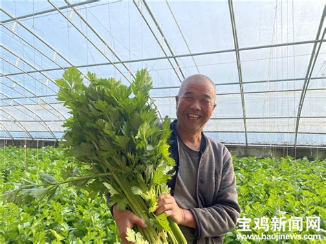 杭城本周菜篮子：蔬菜蛋品和水产略有涨价 -今日生活-杭州网