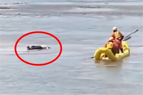 实拍：美国一河边发现“尸体” 救援人员靠近之后“吓一跳”！_凤凰网视频_凤凰网