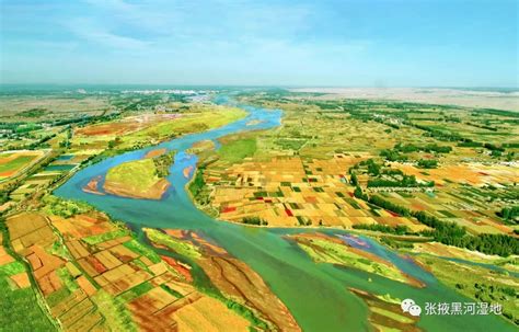 甘肃高台黑河湿地生态变化 - 中国自然保护区生物标本资源共享平台