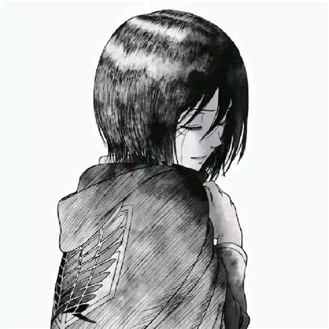 动漫女头/三笠.阿克曼图片