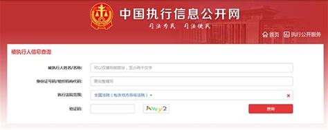 中国执行信息公开网查询个人信息 - 普法库网