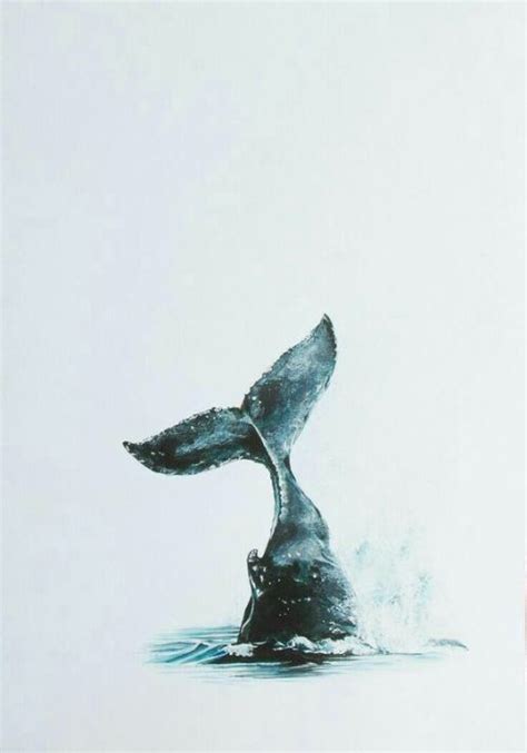 一鲸落，万物生——深海最美的朝圣 - 知乎