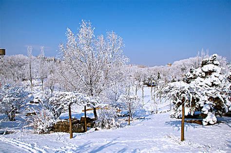 厚厚的白雪覆盖在小山坡和树林上_高清图片_全景视觉