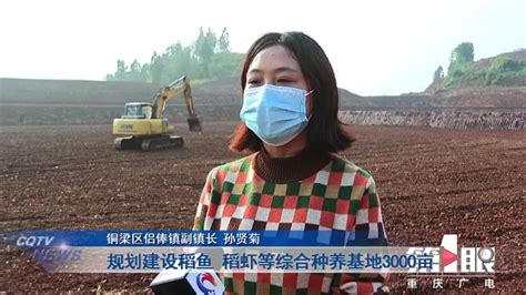 重庆铜梁西南水泥厂5吨10吨20吨案例 - 成都名膜水处理厂家