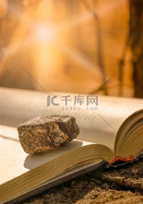 书上木有图解_[标签:标题1]