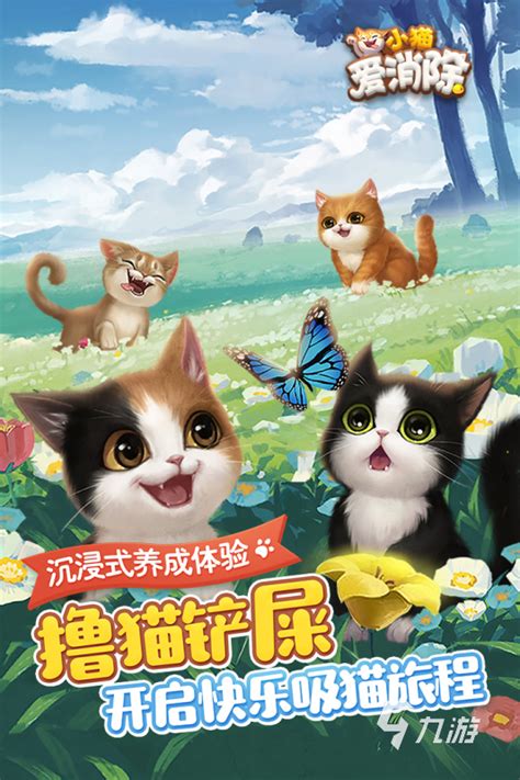 可以养猫咪游戏手游前十名推荐2021 好玩的养猫咪游戏盘点_九游手机游戏