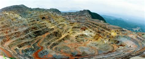 中国矿业报丨环境再造！紫金山为何这么美-媒体聚焦-紫金矿业