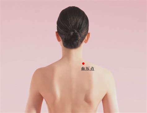 18个痛点的准确位置图图片