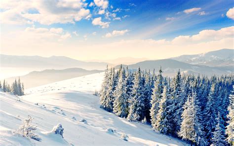 雪景大全唯美图片