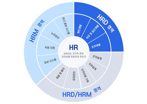 任职资格模型开发实例（以HRD岗位为例） - 知乎