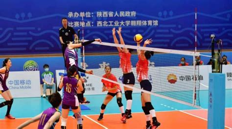 2022-2023中国女子排球超级联赛第一阶段B组：广东江门华体3-0战胜河北海瑞_手机新浪网