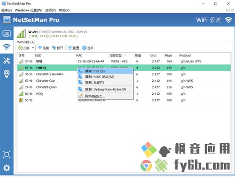 Windows NetSetMan网络IP切换工具 v5.1.0 中文专业版 | 枫音应用
