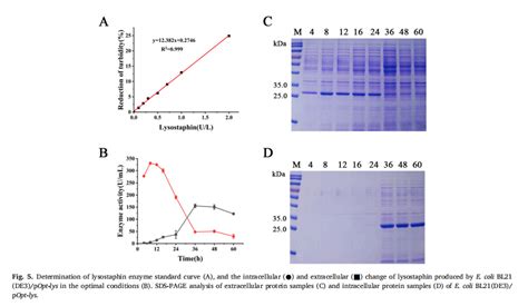 大肠杆菌密码子优化和ARTP诱变高效分泌溶葡萄球菌酶
