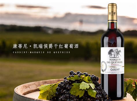 高菲红酒代理加盟_100%原瓶原装法国进口红酒、高品质、高利润、裸价招商!