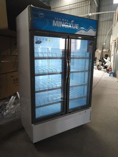 加承冷冻柜商用立式冰柜大容量冰糖葫芦展示柜风冷无霜低温冰箱速_虎窝淘