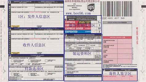 DHL国际快递查询,DHL出香港快件如何使用原单号跟踪包裹？-广州文捷国际快递有限公司,DHL,ems,ups