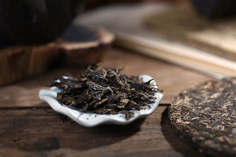 怎么知道哪种是普洱古树茶呢|普洱茶百科 - 中吉号官网