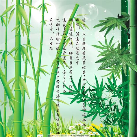 关于竹子的古诗-关于竹子的古诗
