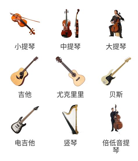 上海敦煌乐器有限公司