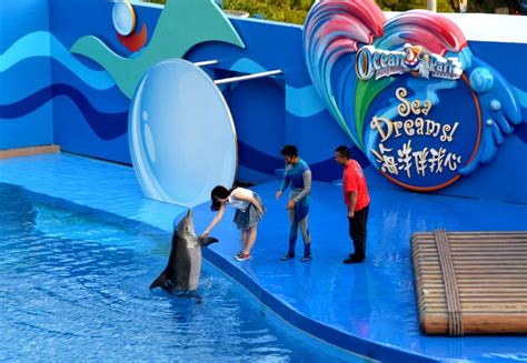 2024广州海洋馆游玩攻略,企鹅海师海豚表演值得一看，...【去哪儿攻略】