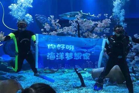 2021武汉海昌极地海洋公园夜游攻略-门票价格及演出时间表_旅泊网