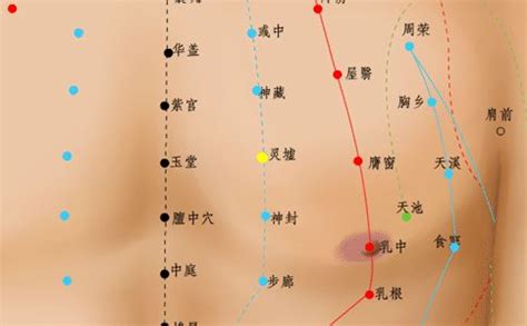 虚里的准确位置图图片 虚里的准确位置图图片