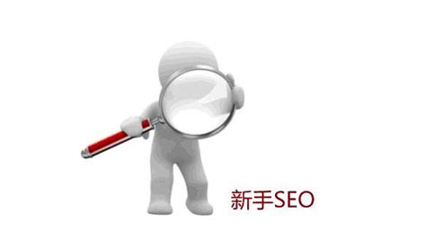新站SEO优化如何做_seo知识网