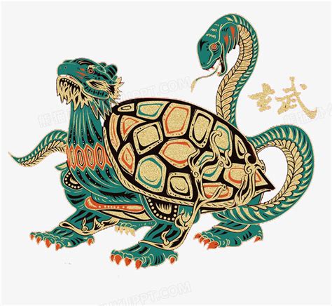 玄武龟图片