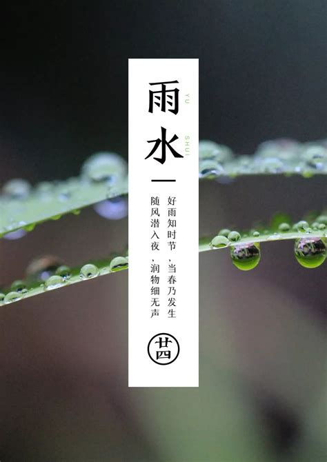 二十四节气里的陕西|雨水到 万物生 拥抱最美的春天|陕西|陕北|关中_新浪新闻