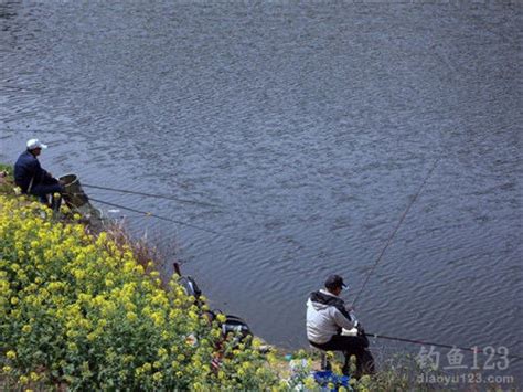 春季钓鱼时间，什么时候出钓好？