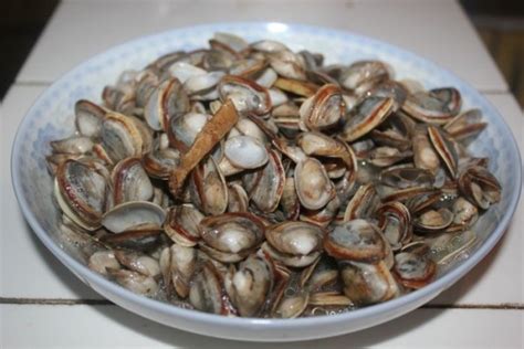 清炒小贝壳,清炒小贝壳的家常做法 - 美食杰清炒小贝壳做法大全