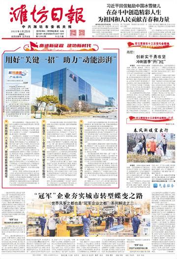 安丘市石埠子镇 打好经济发展“组合拳”--潍坊日报数字报刊