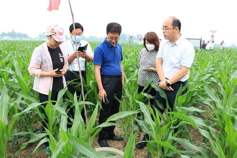 2022年秸秆还田生态效应监测交流活动在泰安举办-中国农村能源行业协会