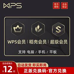 wps办公效率_金山WPS超级会员PRO兑换码/WPS会员官网激活绑定自己的WPS账号多少钱-什么值得买