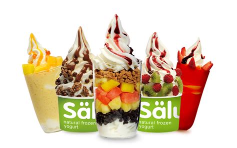 Salud冻酸奶月饼，100%冻酸奶制作，健康+营养+美味+苗条 - salud撒露.欧洲冻酸奶-全球冻酸奶连锁加盟品牌【官网】