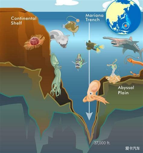 深海100000米长图,海底一万米吓潜水员,海底十万米_大山谷图库