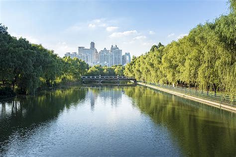 2019长风公园-旅游攻略-门票-地址-问答-游记点评，上海旅游旅游景点推荐-去哪儿攻略
