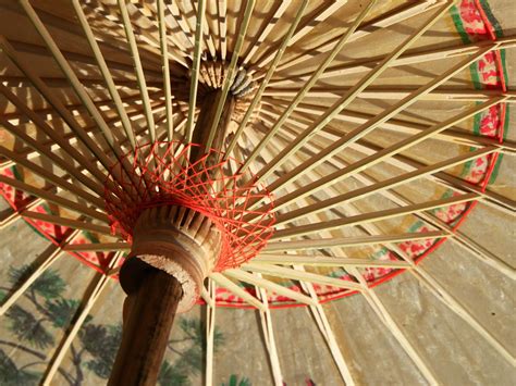 世界上最古老的伞，中国油纸伞是怎么制作的？ - 知乎