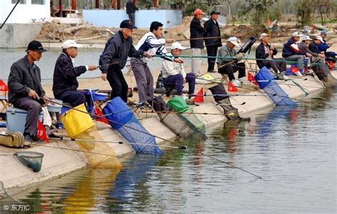 杭州一老板挖个鱼塘，让用户免费钓鱼，结果马云都惊呆了…（鱼塘的故事总有无尽的空间。。。） - 知乎