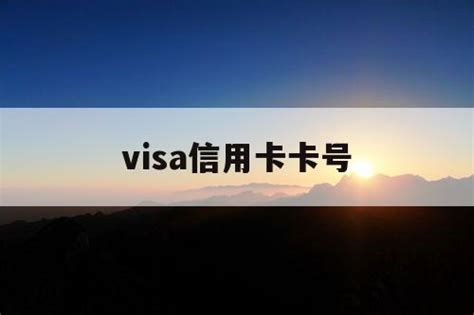 建行visa卡一元购-最新线报活动/教程攻略-0818团