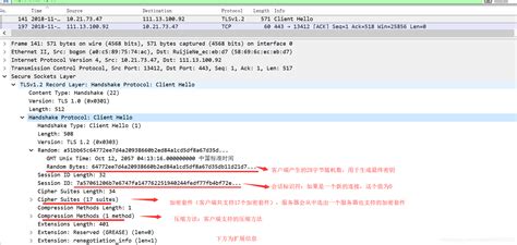 基于Wireshark抓包浅谈对HTTPS的理解（TLS、SSL、数字证书、数字签名）_抓包分析 用户的随机数、签名值-CSDN博客