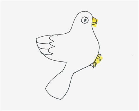 简单的幼儿简笔画动物系列之可爱的小鸽子简笔画步骤 肉丁儿童网