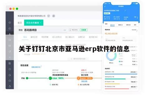 关于钉钉北京市亚马逊erp软件的信息 - erp软件 - 钉钉智能财务管理