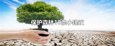 保护森林10条小建议-最新保护森林10条小建议整理解答-全查网