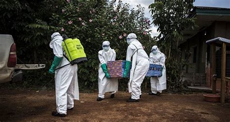 WHO正式宣布:刚果埃博拉疫情升级为全球卫生紧急事件_手机新浪网