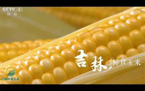 中央台农产品广告展播--吉林大米玉米-bilibili(B站)无水印视频解析——YIUIOS易柚斯